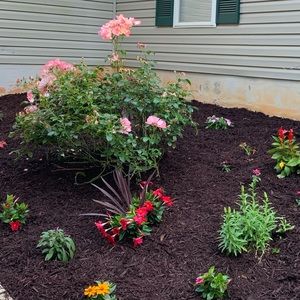 Meet your Posher, Cara